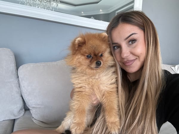 Morning in Asenovgrad: selfies, Pomeranian moments, city views