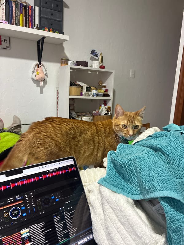 Orange cat poses near music laptop in Mexico City