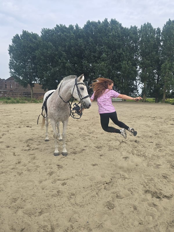 Woman falls from horse during training session in Belgium