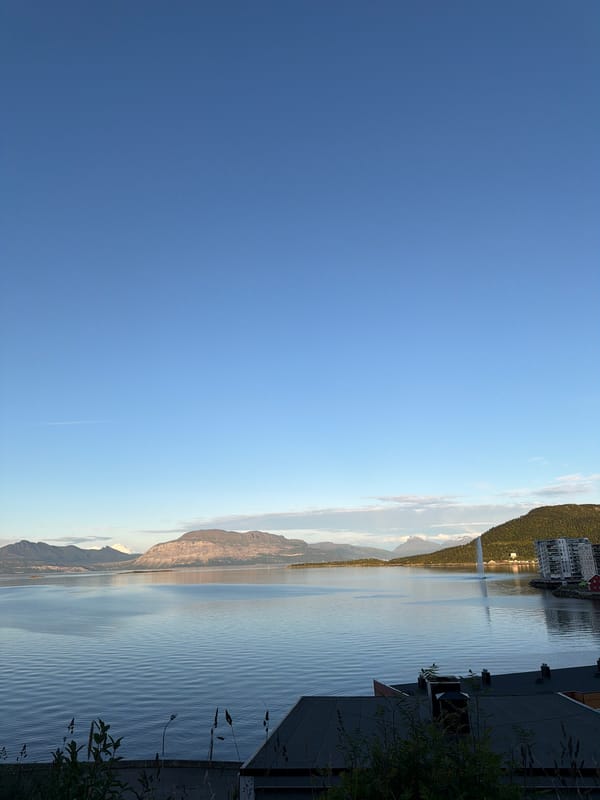 Harstad fjord views through rooftops and shoreline vegetation