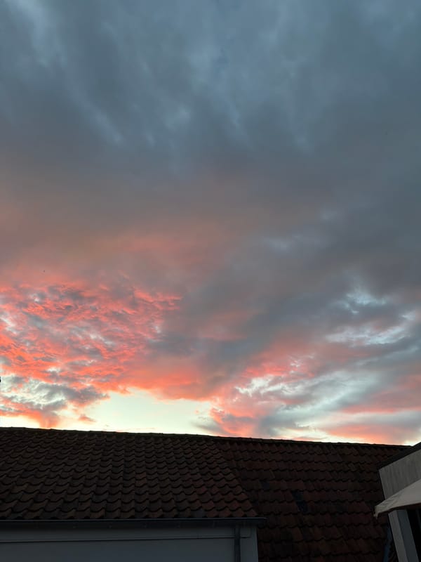 Bruges rooftops at golden hour, shot from multiple angles