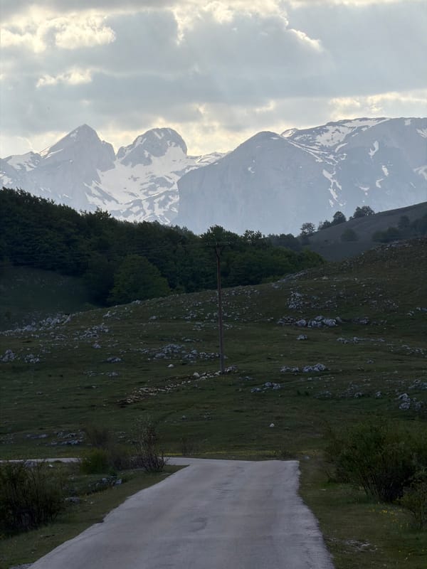 Yellow VW van and horse photographed in Montenegro countryside