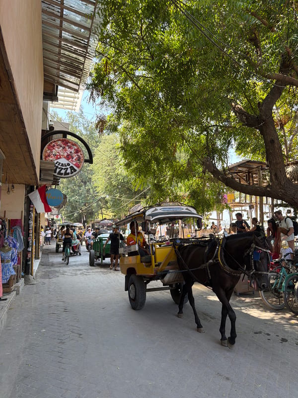 Morning scenes from Gili Trawangan's beaches, carriages, and cafes