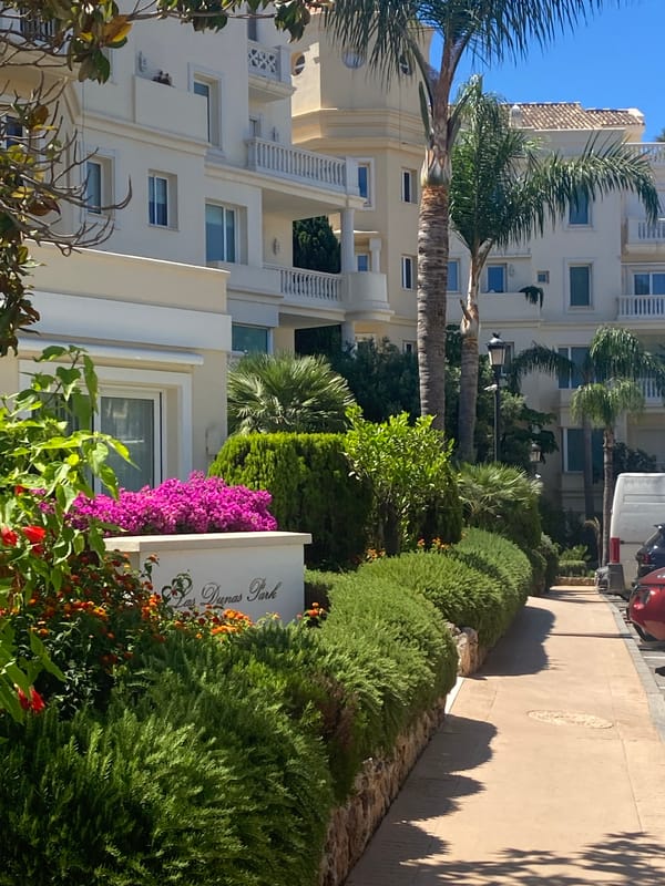 Coastal morning along Estepona's resort strip and surrounding streets