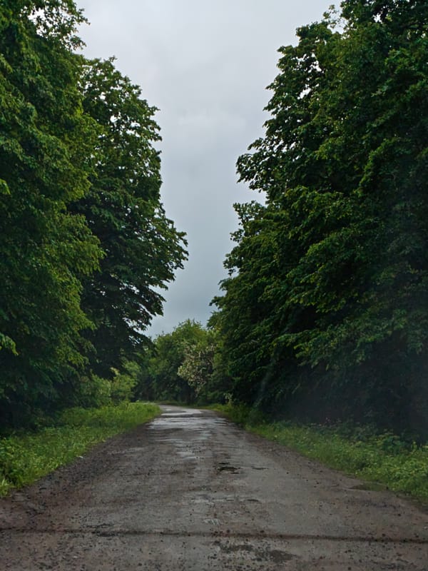 Wet rural road captured after rain in Khrinivka, Ukraine