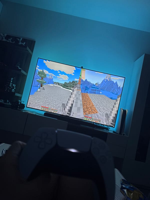 Gaming session captured in Gabrovo home
