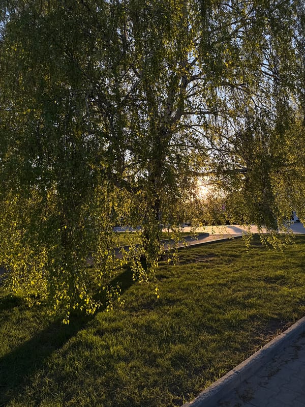 Daily life memories: coffee, gym, outdoor moments documented