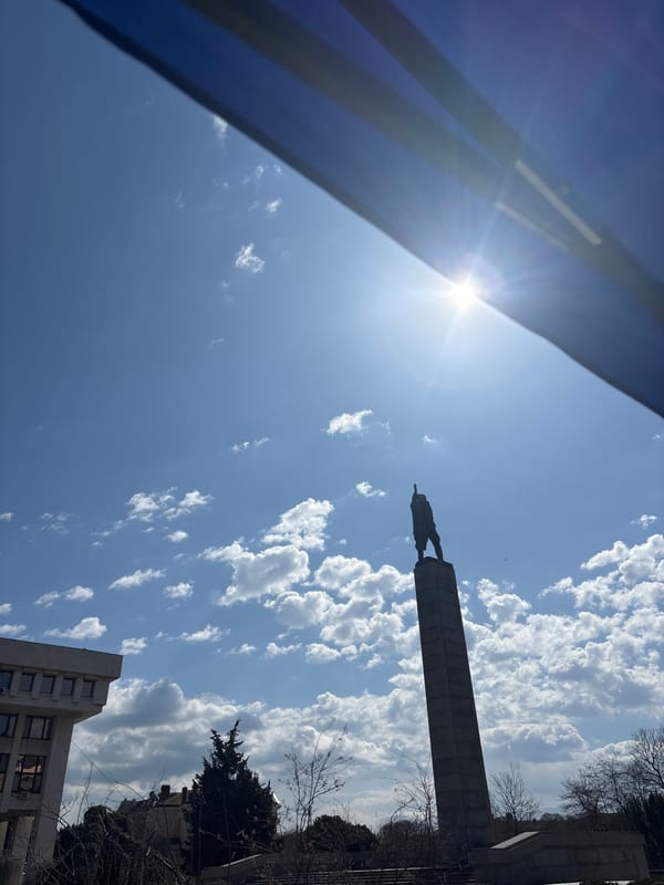 Dog rests in public plaza in Burgas, Bulgaria