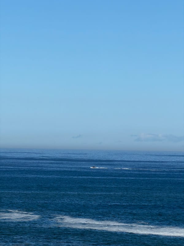 Uniformed group gathers on Cape Town pier overlooking ocean