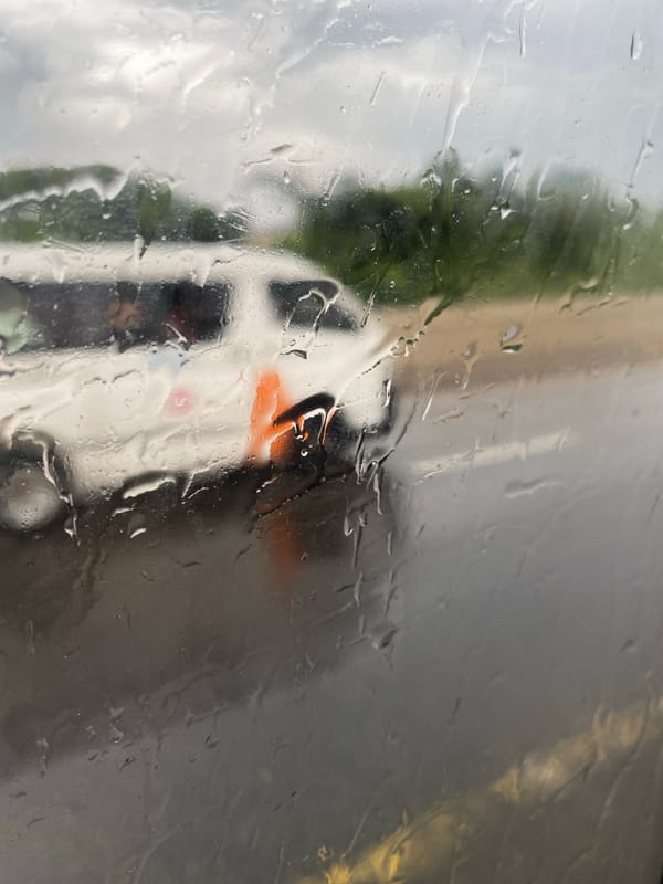 Rainy window view captures blurred street scene with greenery
