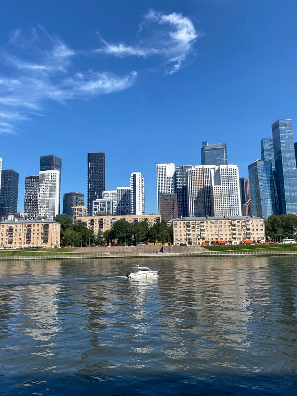 Riverside city scene: skyline, boats, and a roaming tortoise