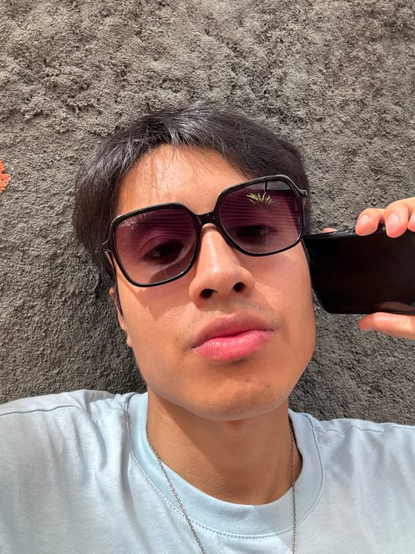 Afternoon leisure moments documented across São Paulo locations