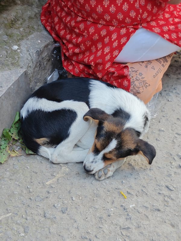 Mall Road, Manali: street food, evening crowds, and local life