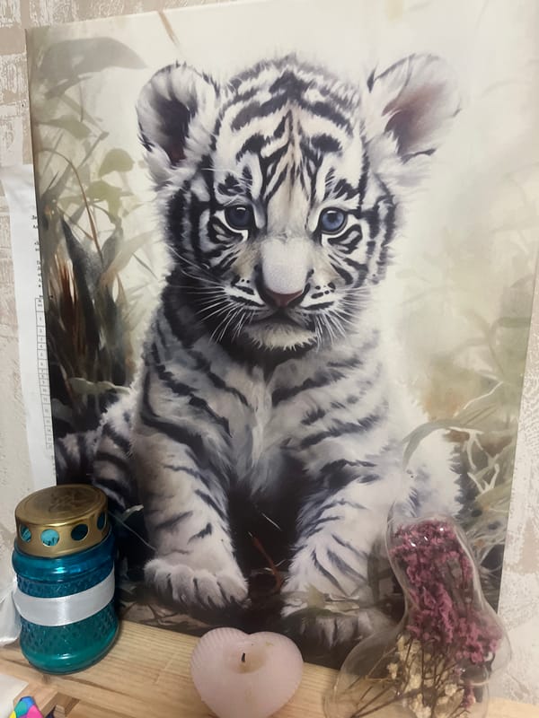 White tiger painting and cozy interior moment in Ufa