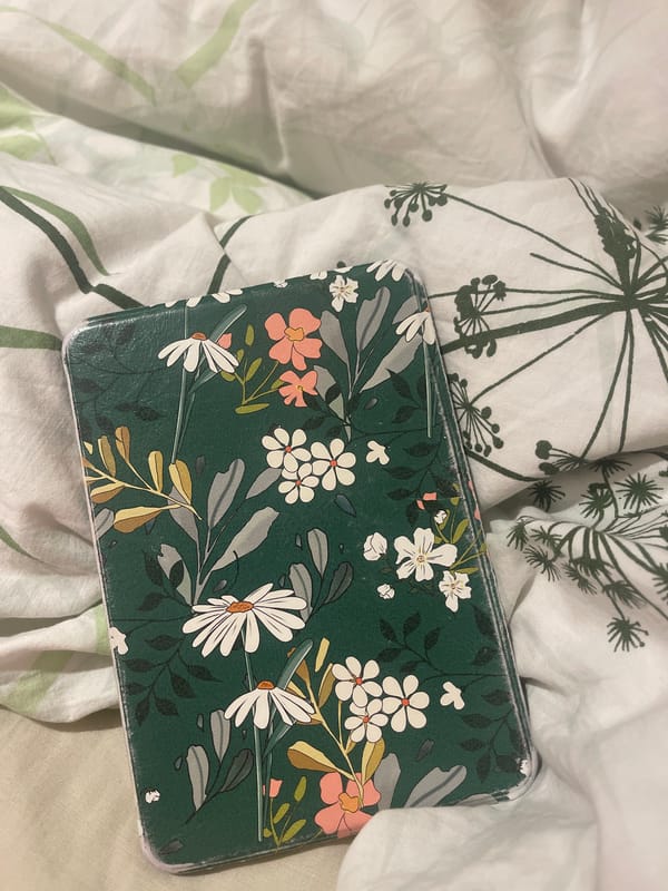 Evening relaxation at home with novelty socks in Saarbrücken