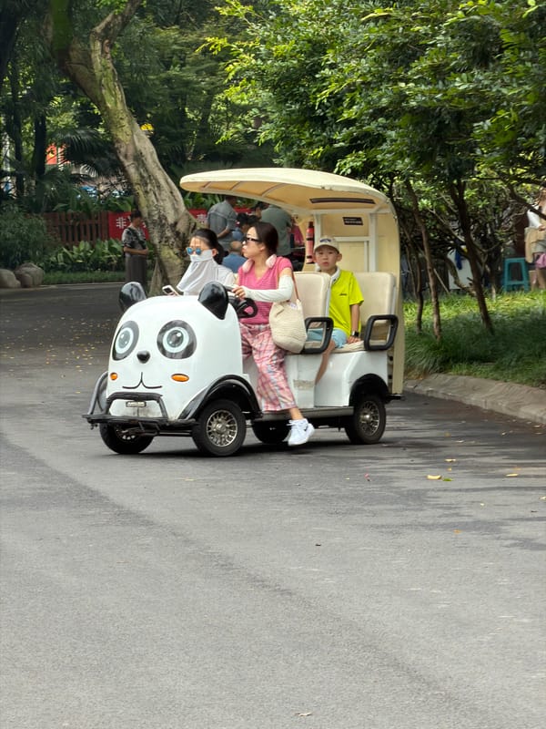 Panda-themed EV and park visitors in Jiulongpo District