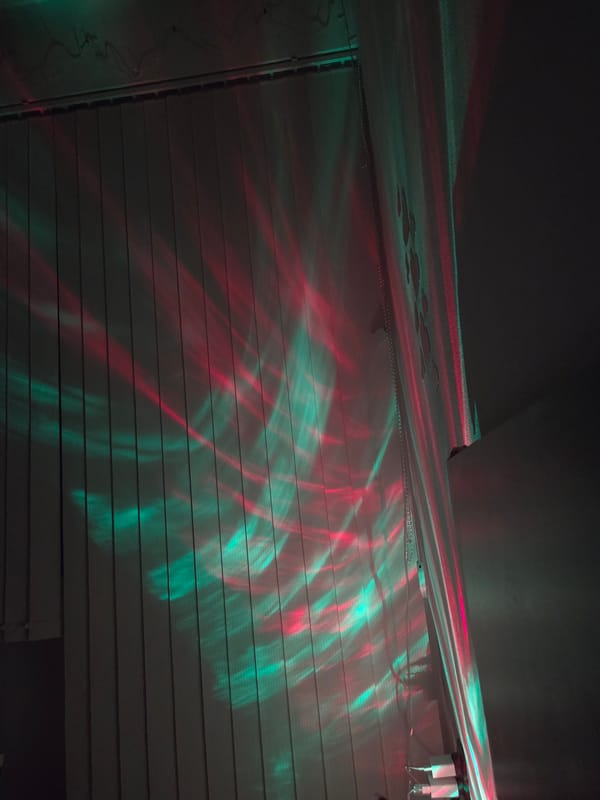 Quiet Evening Indoor Moments with Pet in Pleven