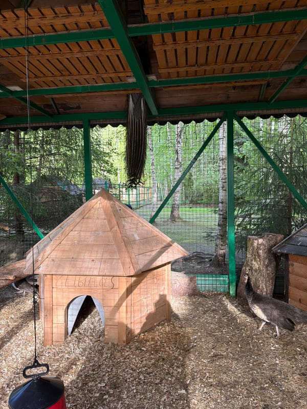 Afternoon visit to wildlife park in Zaplav'e, Russia