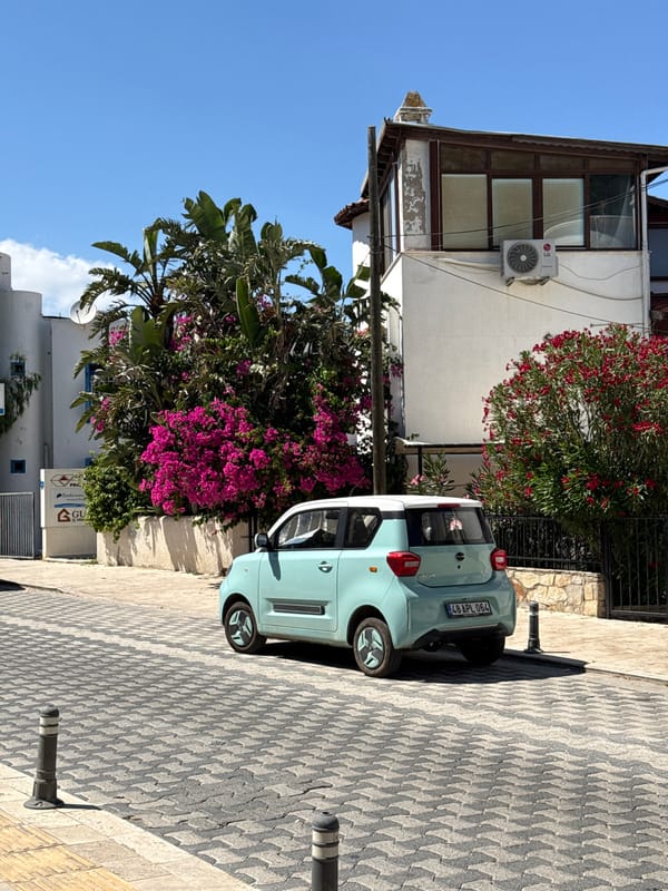 Cat sits on parked car in Bodrum streets
