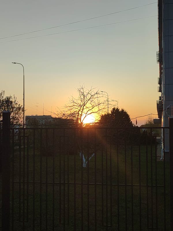 Witness documents dual sunset scenes from urban and roadside locations