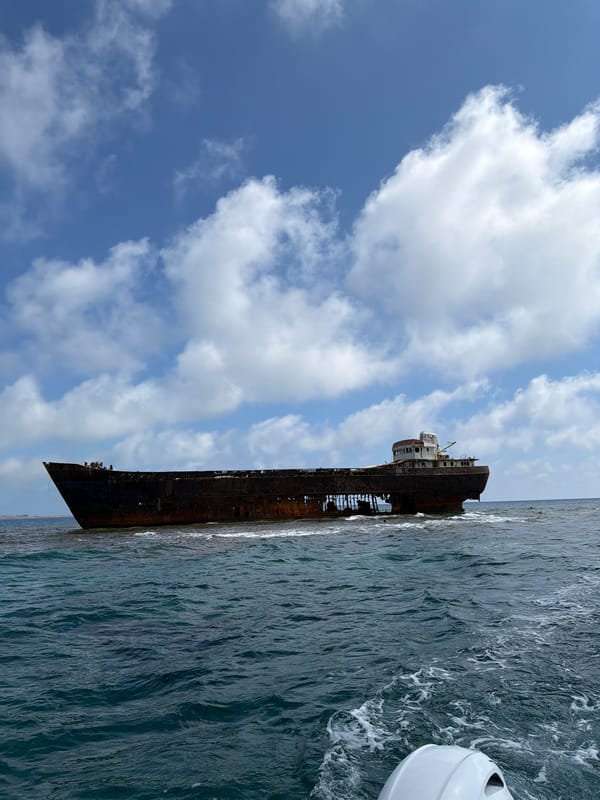 Rusted shipwreck spotted off Cyprus coast near Hlorakas