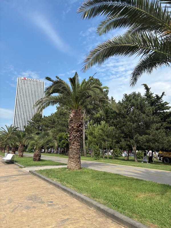 Beachfront promenade scene with palm trees, scooters, and skyscrapers