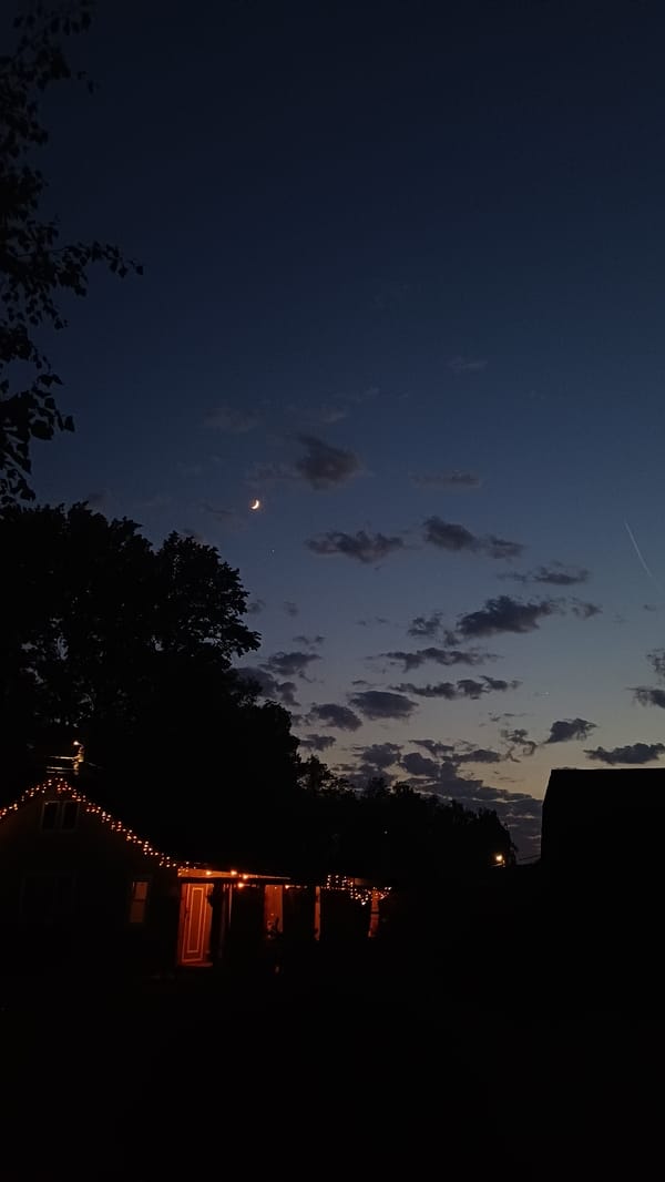 Evening sky and garden scenes documented in Timokhovo, Russia