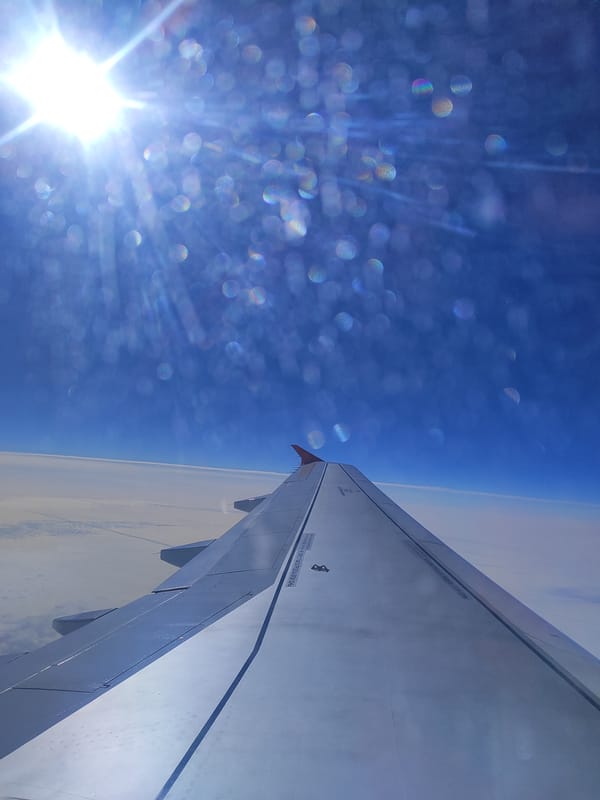 Passenger documents morning flight with wing views and cabin interior