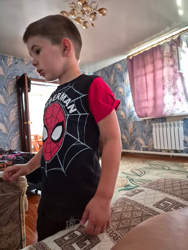 Everyday life in a residential corner of Sokur, Russia