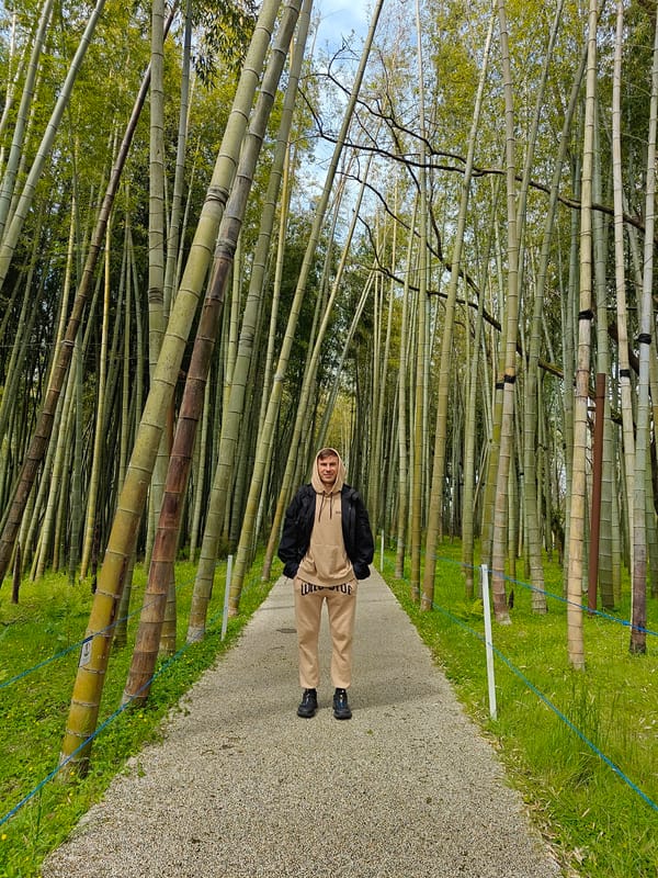 Visitor documents peaceful morning walk through Shekvetili botanical gardens