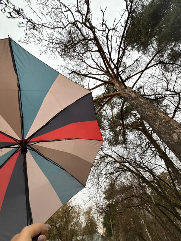 Rainy afternoon umbrella use documented in Dmitrov, Russia