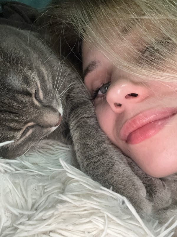 Woman shares quiet moment with grey cat in Chaikovsky