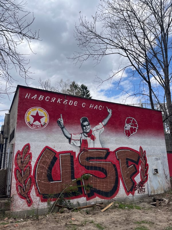 Sofia streetscape captured: murals, construction, architecture documented morning hours