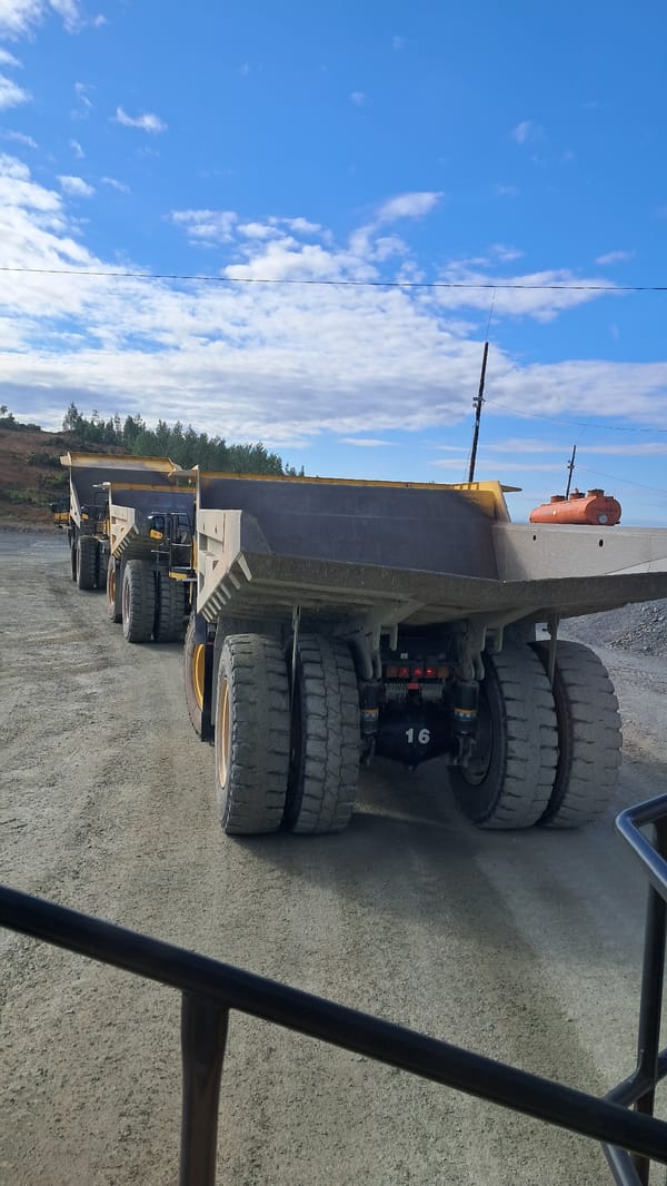 Dump trucks and zoo animals, two scenes from Russia