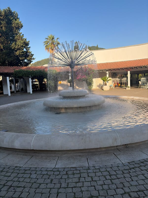 Morning scenes around Budva's Tre Canne hotel and gardens