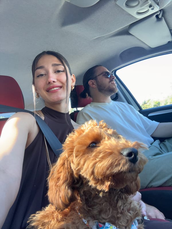 Woman takes car selfie with passenger and dog in Montenegro