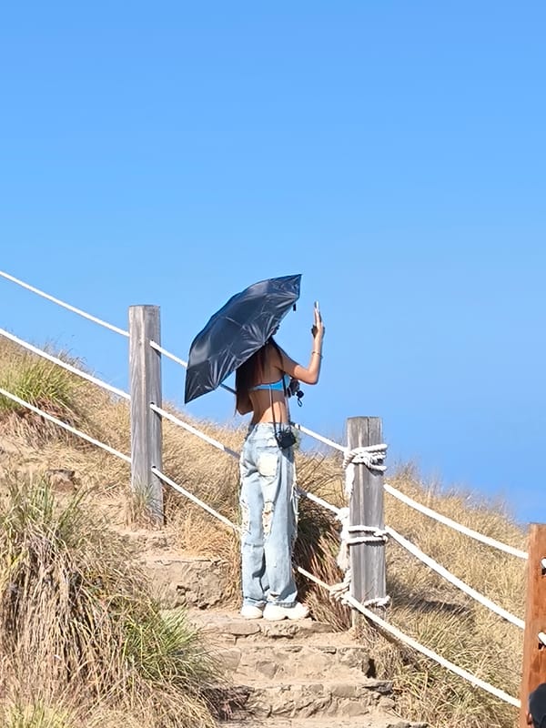Golden hills meet turquoise ocean at a scenic Indonesian coastal overlook