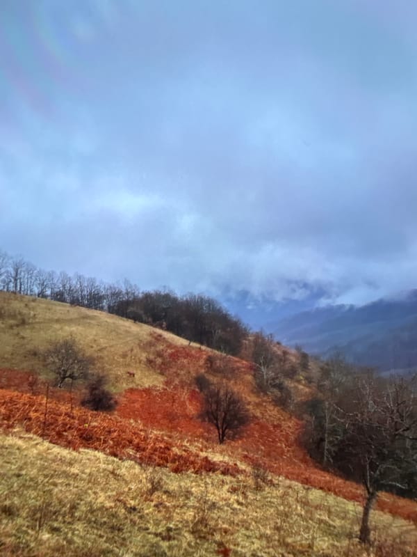Horses, dirt bikes, and mountain scenery around Plovdiv
