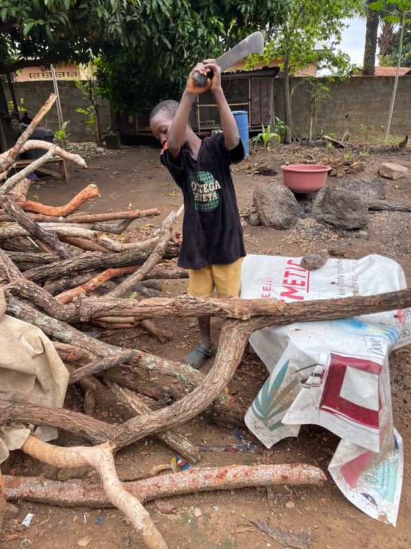 Children perform rural work tasks in Akwanga, Nigeria