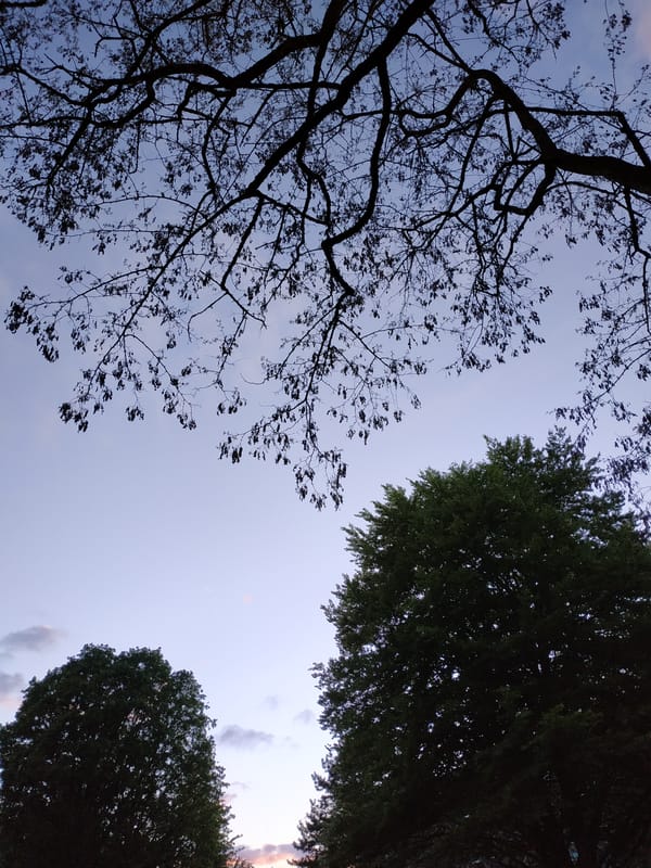 Observer documents ordinary afternoon scenes across Dortmund residential areas