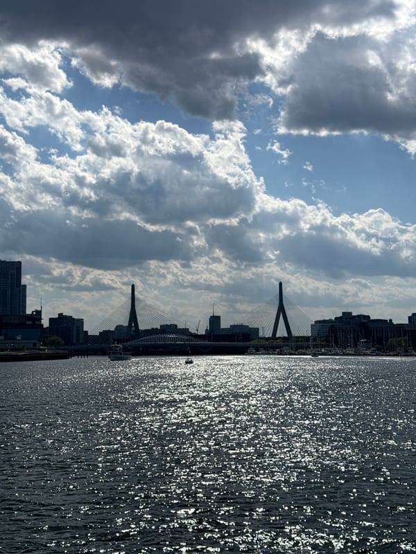 Evening waterfront activity captured along Boston's Charles River