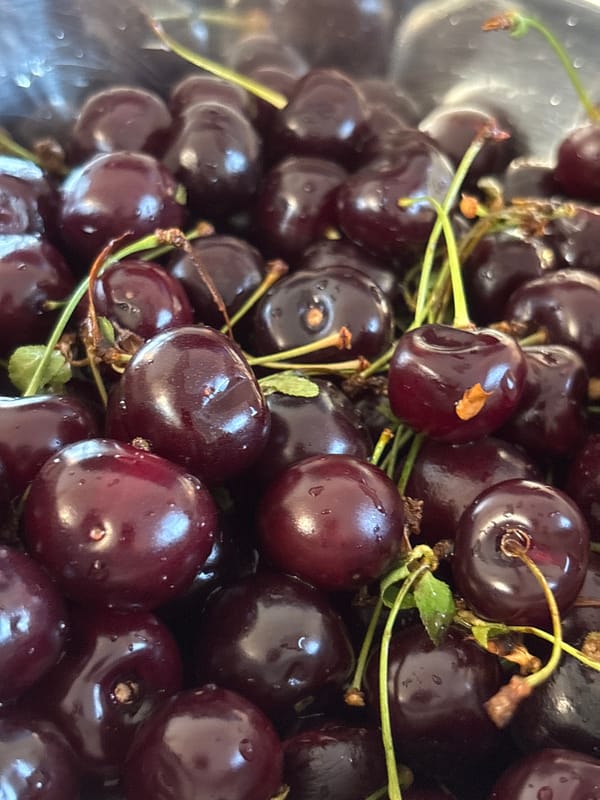 Summer cherries and a city sunset, Russia