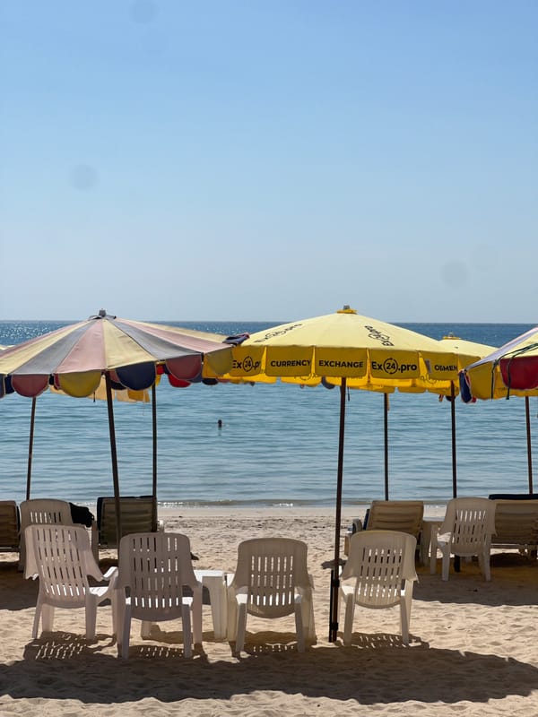 Peaceful beach scene recorded by witness at dawn