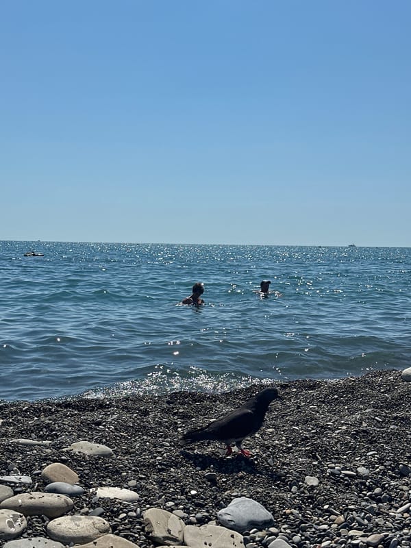 Lazy summer morning along Sochi's Black Sea pebble beach