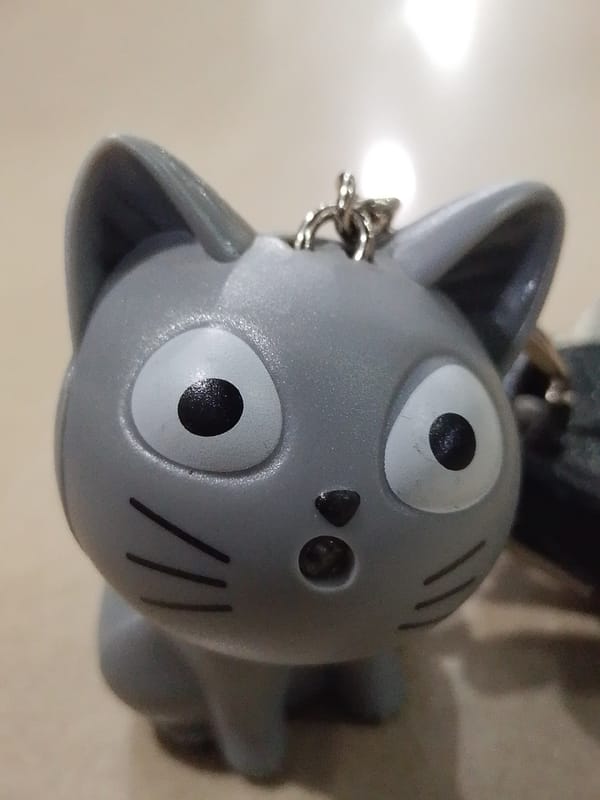 Casual documentation of cat keychain and street scenes in Lhokseumawe