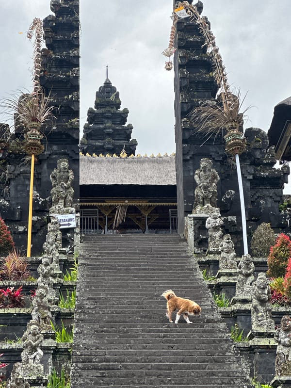 Morning temple visits documented at Balinese Hindu complex