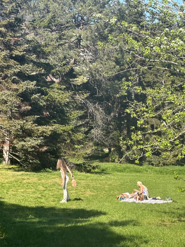 Spring tulip gardens bloom as residents picnic in Varna