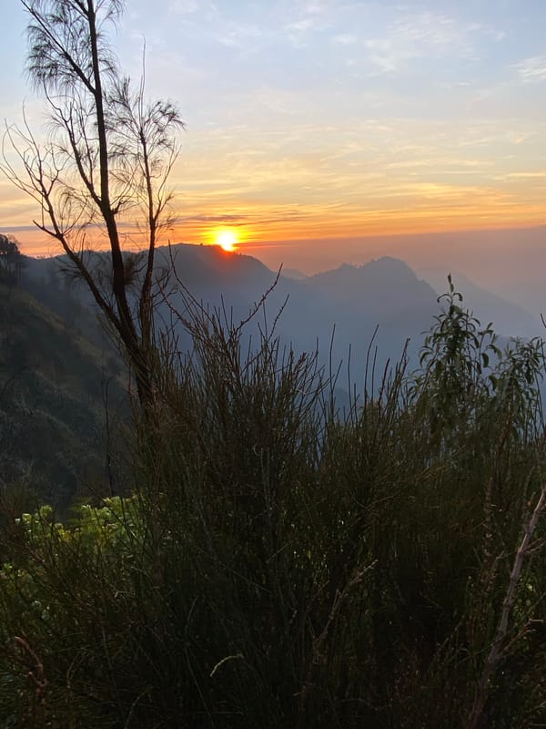 Group gathers at sunrise in Cemorolawang, Indonesia mountains