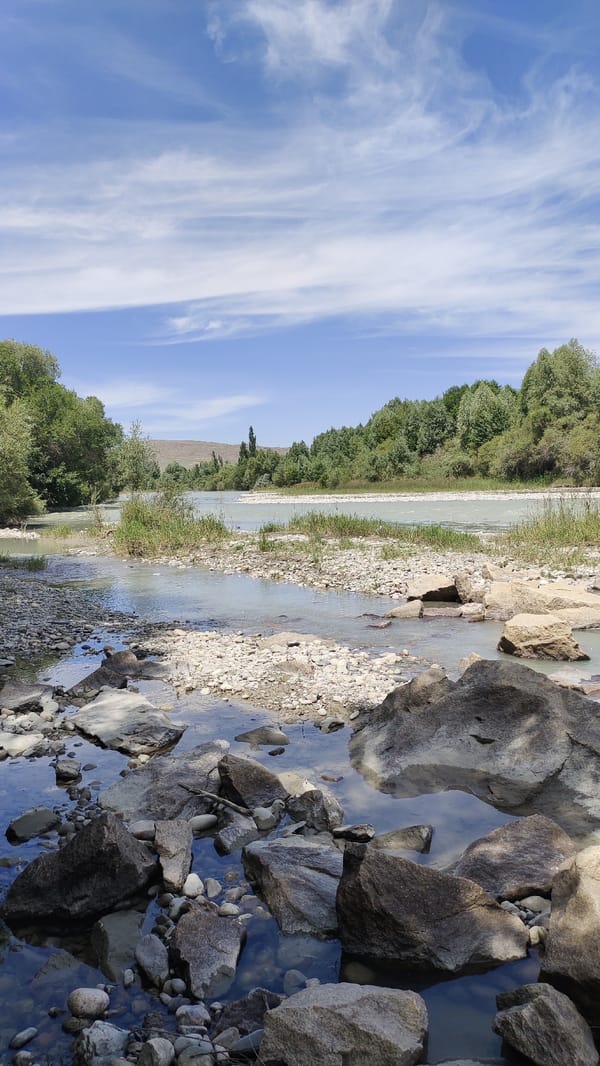 Rocky riverbank exploration near Taldykorgan, trees and water up close