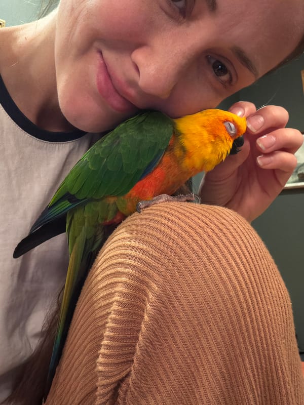 Woman takes selfies with colorful parrot in Khimki bathroom